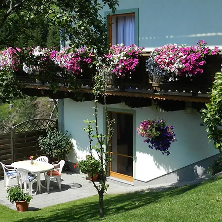 Appartement Kleinwidmoos-apartment