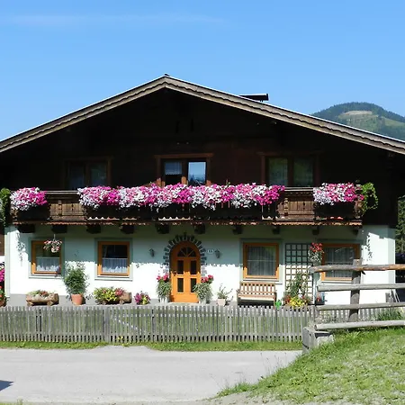 Appartement Kleinwidmoos-apartment