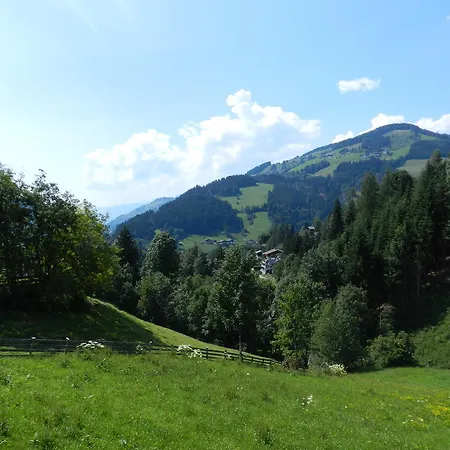 Apartment Kleinwidmoos-apartment *