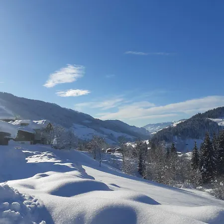 アパート Kleinwidmoos-apartment ヴァークライン