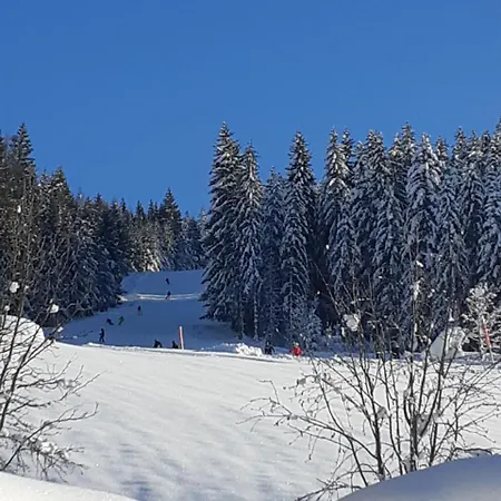 Kleinwidmoos-apartment