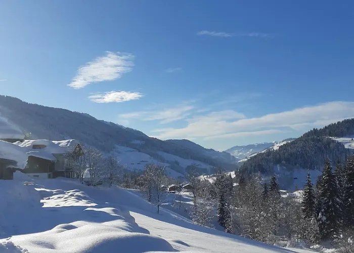 アパート Kleinwidmoos-apartment ヴァークライン