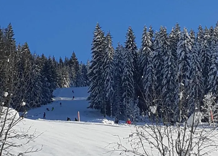 Kleinwidmoos-apartment